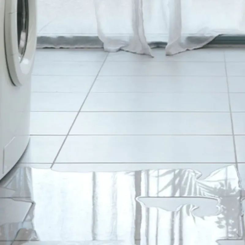 Appliance Leak Cleanup in Northview, MI