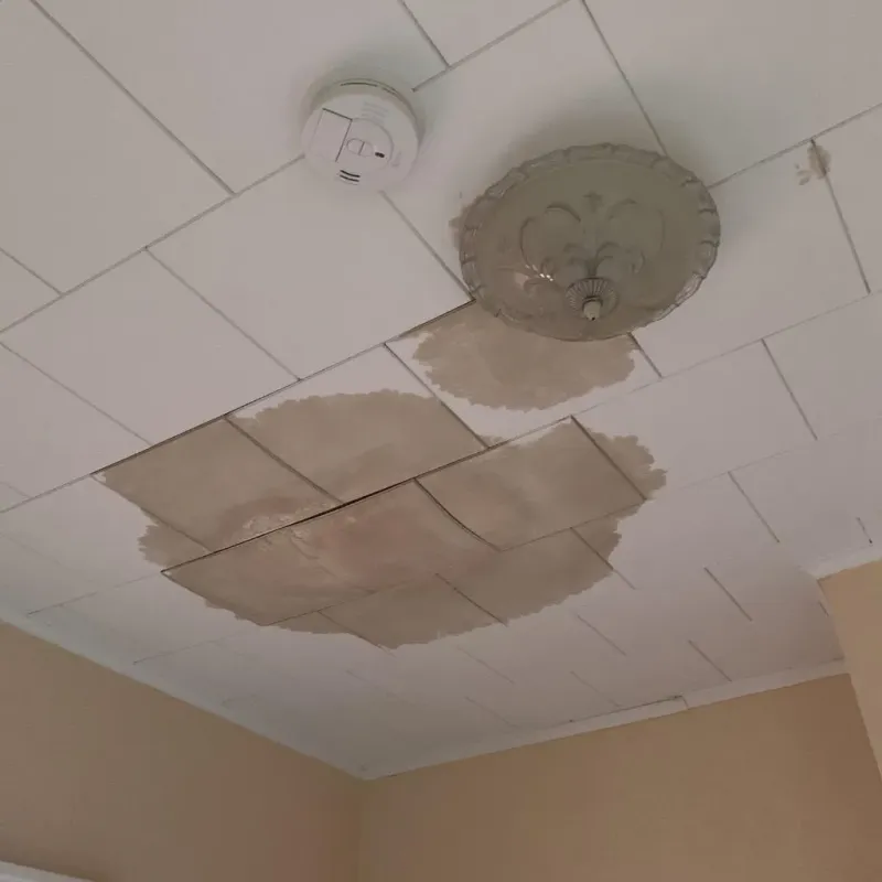 Ceiling Water Damage Repair in Northview, MI