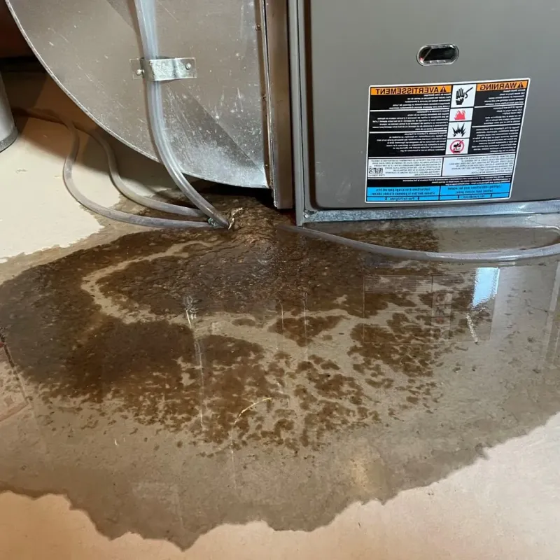 Pipe Burst and Leak Restoration in Northview, MI
